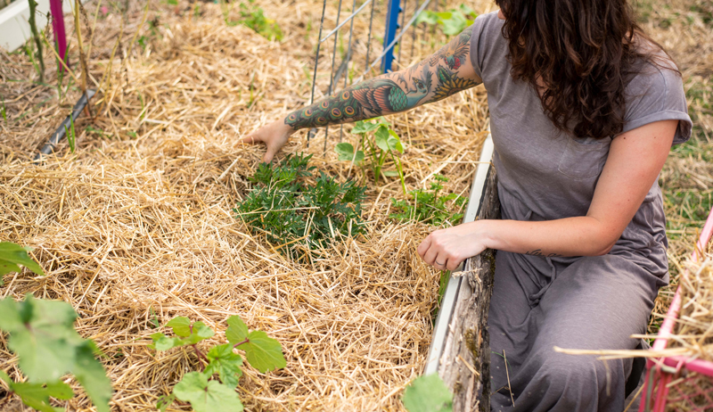 The Best Materials For Vegetable Garden Mulch (Book Excerpt)