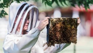 beekeeping zero-waste zero waste