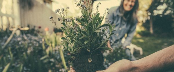 A Holistic Goal Allows Your Farm (Or Garden) To Work For Your Vision