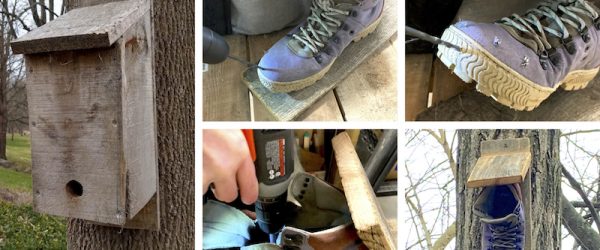 Better Than Wild Bird Feeders? Provide Shelter For Winter Roosting!