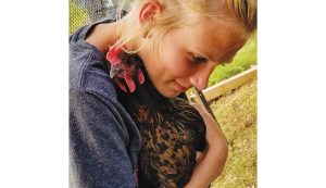 therapy chickens emotional support